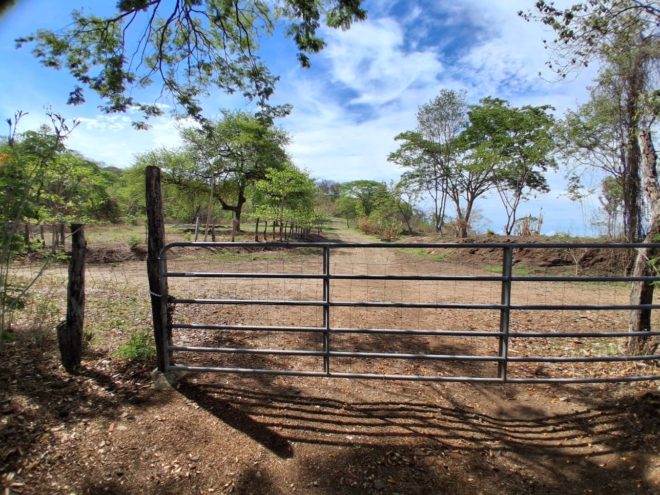 Guanacaste Beauty