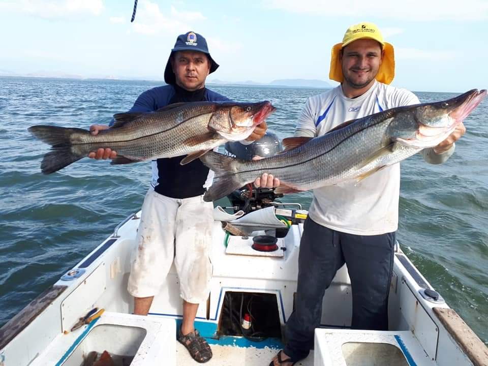 Local Fishing